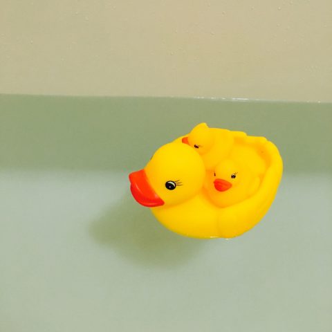 内覧会