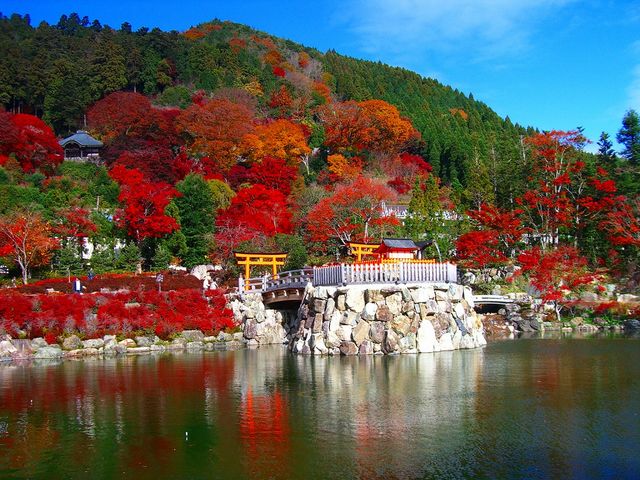 紅葉