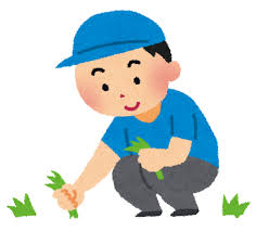 草抜き