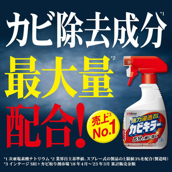 お掃除