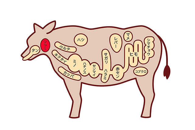お肉