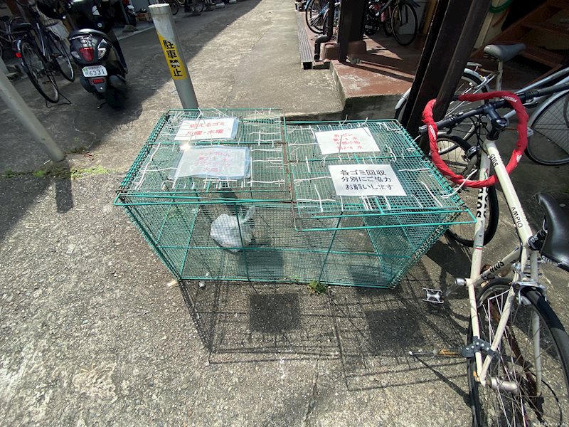 村田マンション ゴミ置場